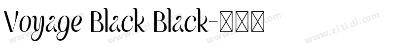 Voyage Black Black字体转换